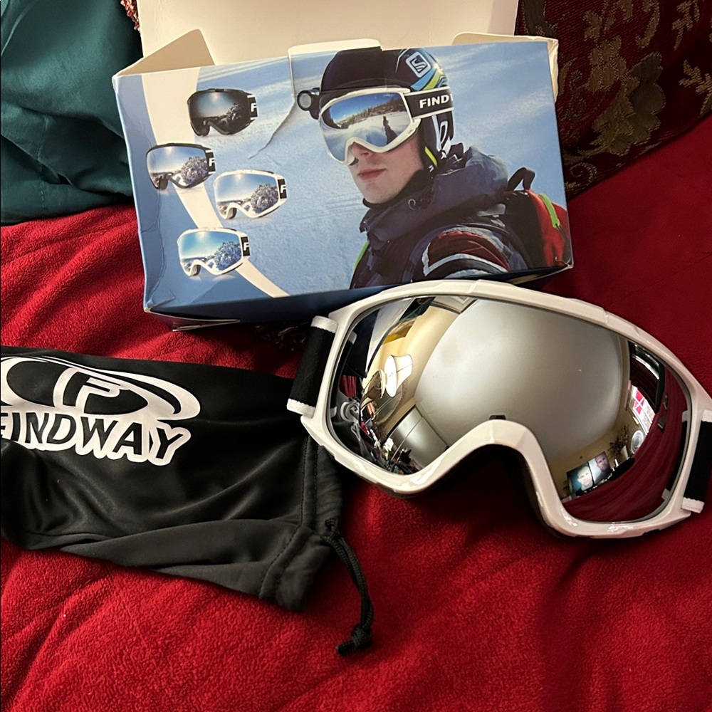 Silver Ski Goggles